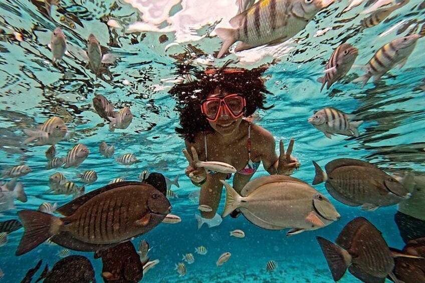 Une personne sous l’eau, entourée de différents poissons. 3