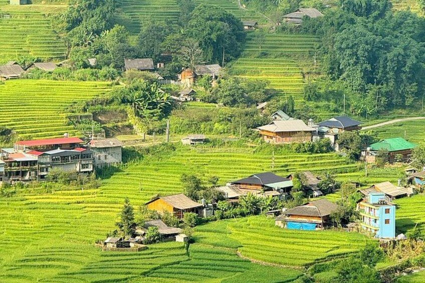 Terraced rice fields, houses, and lush greenery in a rural landscape. 1