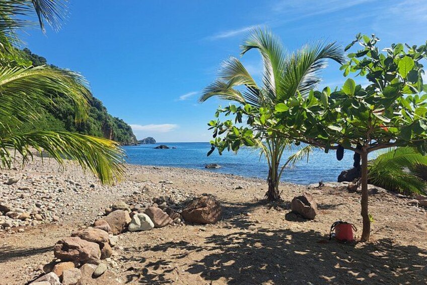 Exclusive V.I.P PRIVATE TOUR (Waterfalls, Beach,Scott's head View 3