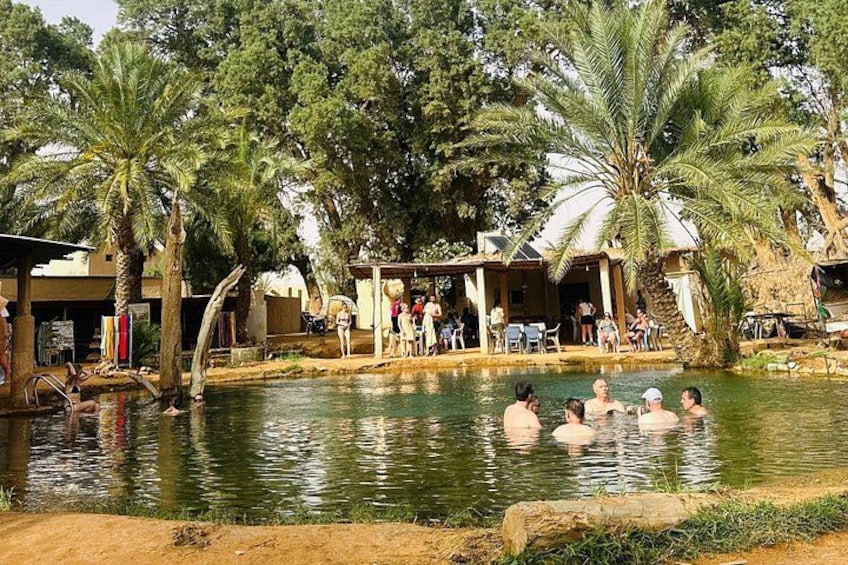 Una piscina rodeada de palmeras y gente. 1