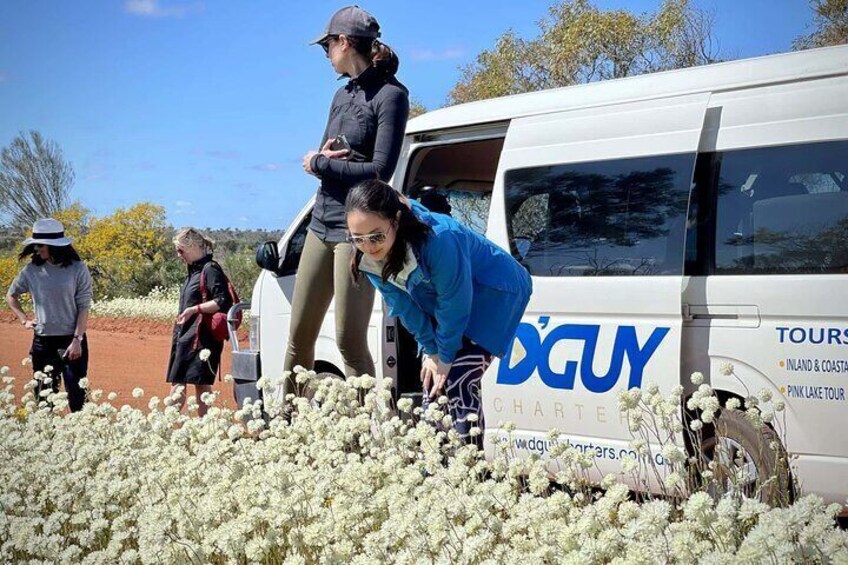 Een groep mensen in de buurt van een witte bus met 'TOUR' en 'charter' erop, omringd door witte bloemen. 1