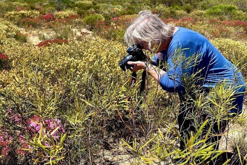 Iemand maakt een foto in een veld met lage struiken en bloemen. 5