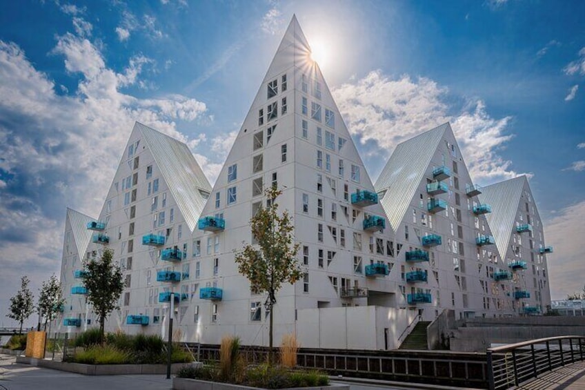 Aarhus Highlights Private Shore Tour: A Walking Journey| 2