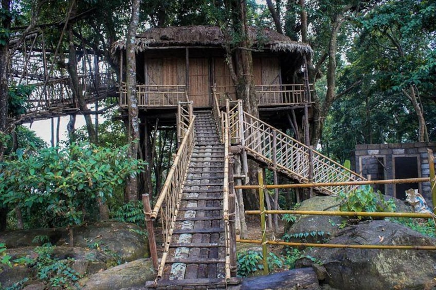 10 Days Of Private Meghalaya and Assam Experience 3