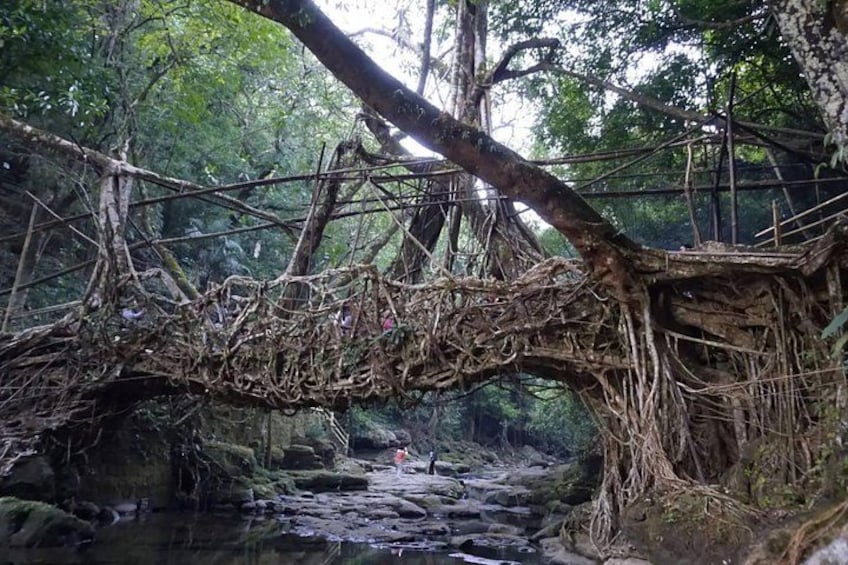 10 Days Of Private Meghalaya and Assam Experience 5
