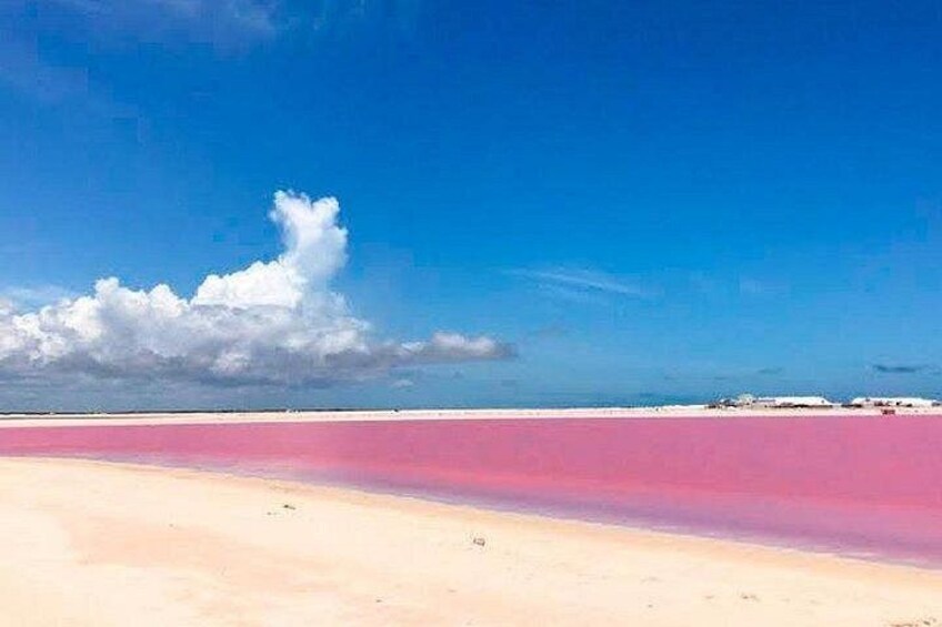 A beach with pink sand and a clear blue sky. 2