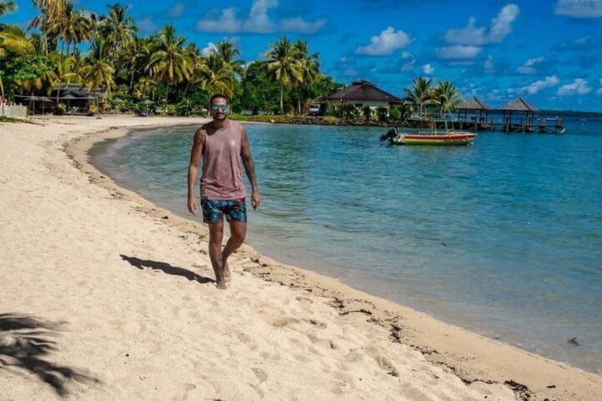 A beach with a person walking, palm trees, and a boat in the water. 3