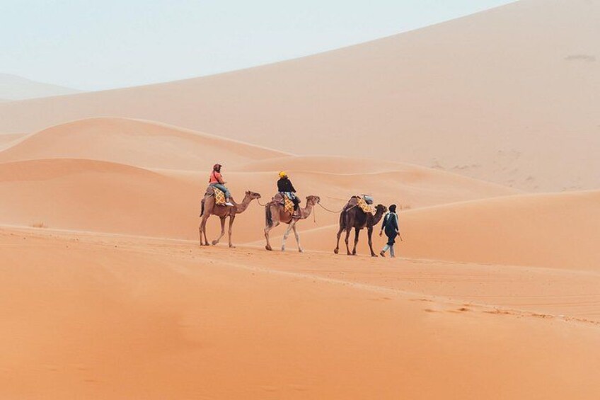 9 Day Private Morocco Tour Casablanca Desert and Imperial Cities 1