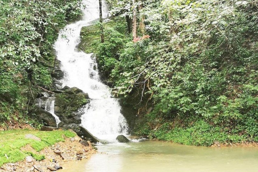 Een waterval stort neer over rotsen in een rustige rivier, omgeven door weelderige begroeiing. 3