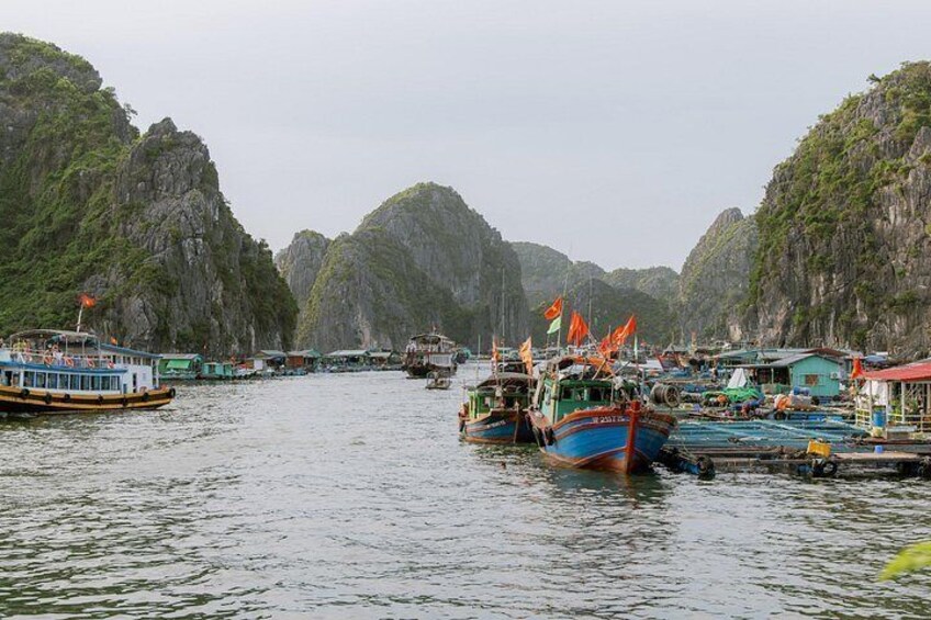 A coastal scene with boats docked at a pier, surrounded by steep, green-covered cliffs. 5