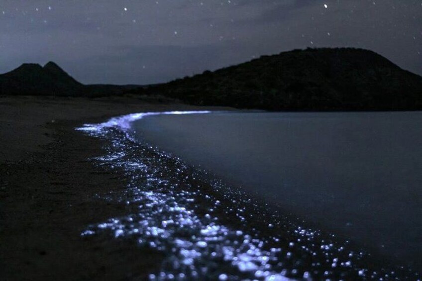 A beach at night with a starry sky and a mountain in the background. 1