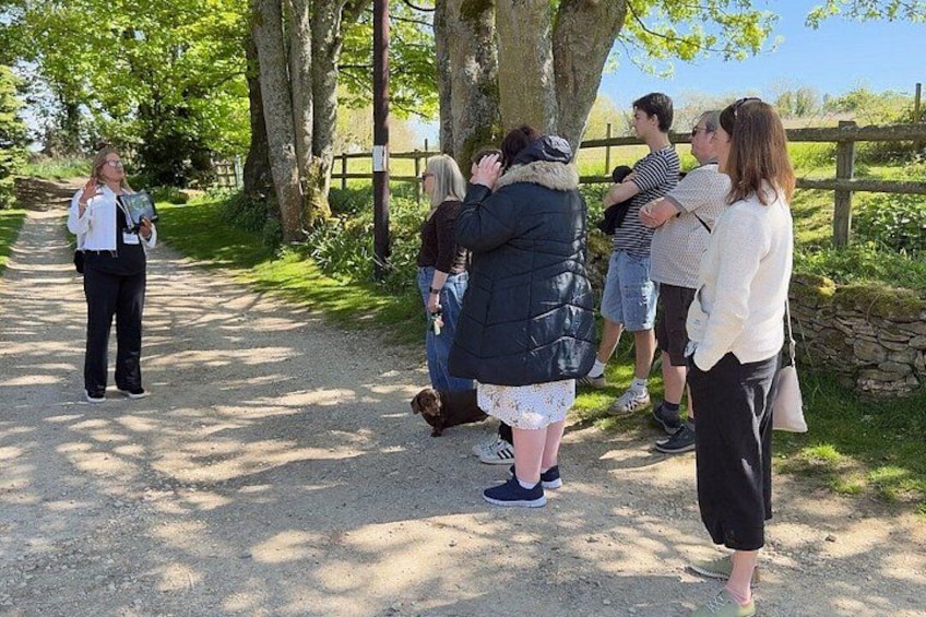 A group of people walking on a gravel path surrounded by trees and a wooden fence. 4
