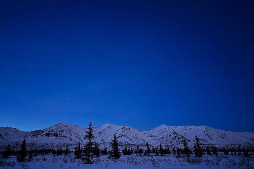 Denali National Park Plus Aurora Chase Tour 3