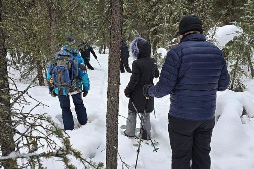 Personas caminando en un bosque nevado. 3