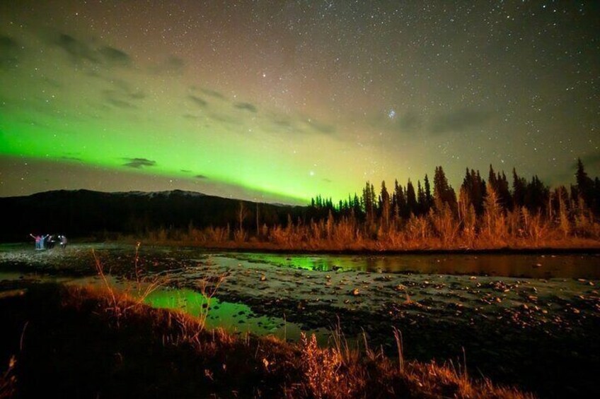Overnight Denali National Park plus Aurora Chase Tour 5