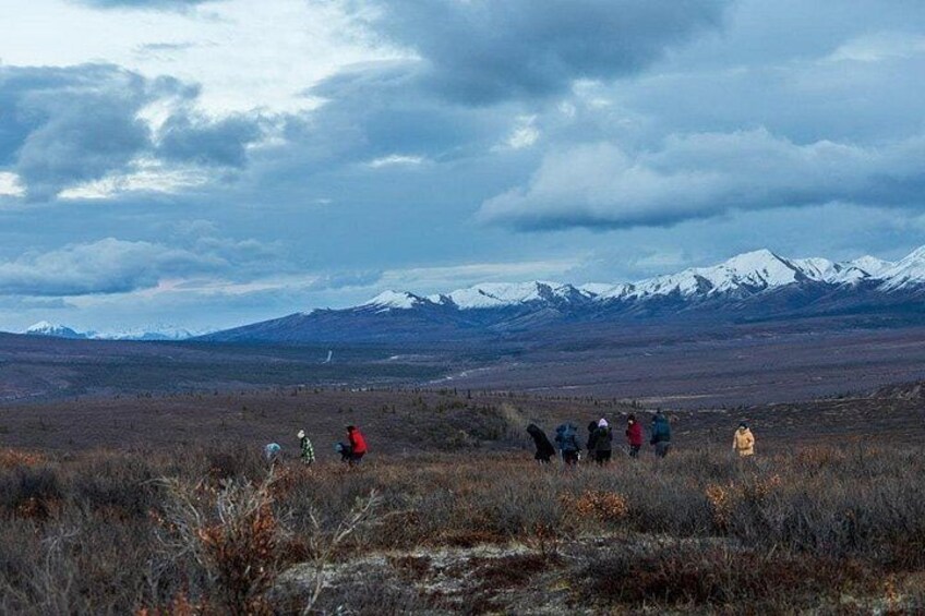 Overnight Denali National Park plus Aurora Chase Tour 2