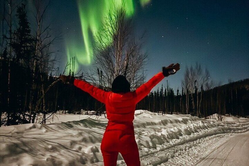 Overnight Denali National Park plus Aurora Chase Tour 3