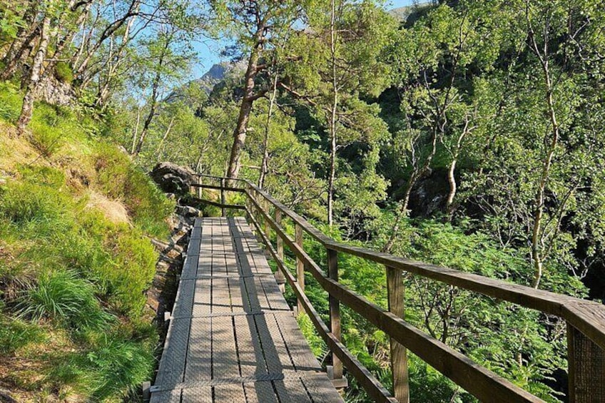 Nevis Gorge bridge 3