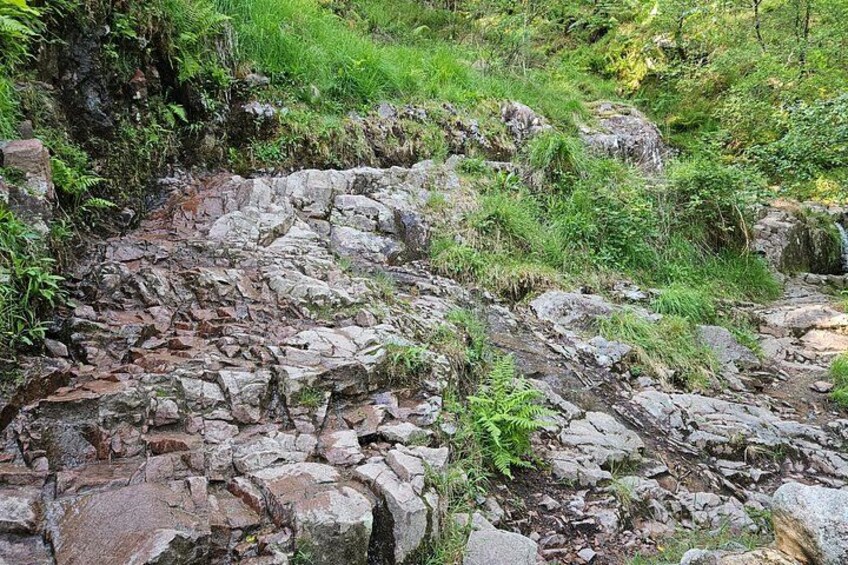 Nevis Gorge path 5