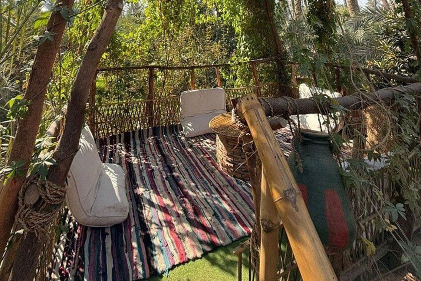 A hammock suspended between trees in a lush garden. 2