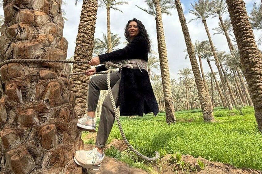 Una persona sentada en un columpio de cuerda entre palmeras en un campo verde. 2