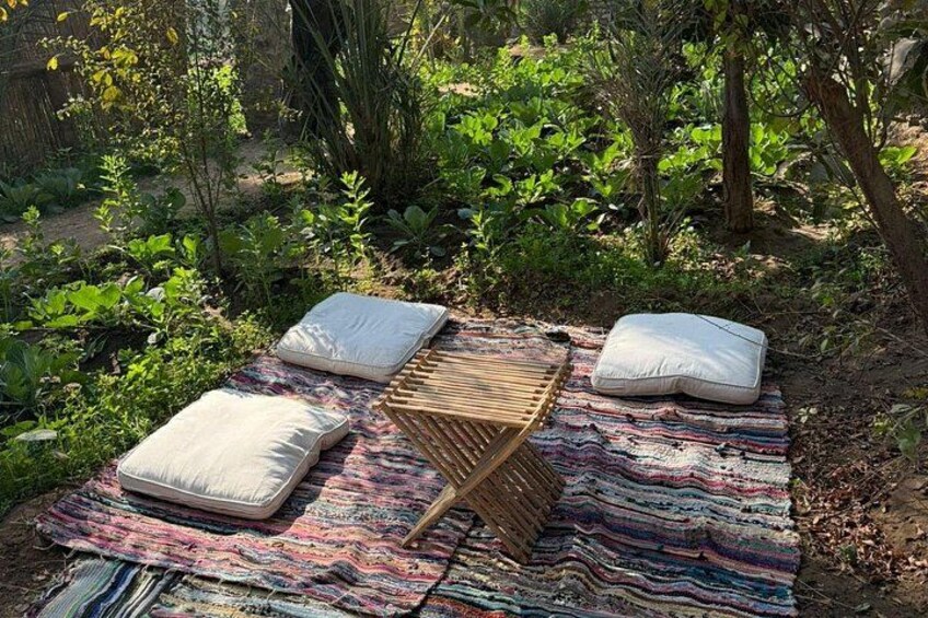 Un montaje para picnic con una manta, almohadones y un banco de madera en un área boscosa. 3