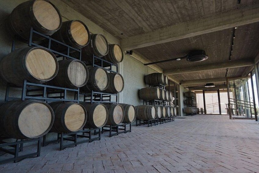 Premium Winery Break in Buenos Aires 5