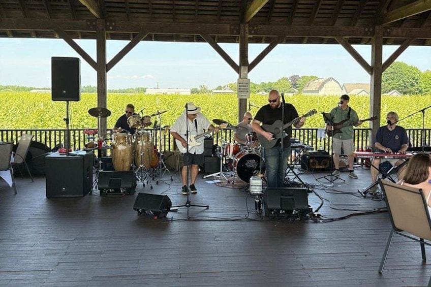 Una banda tocando en un escenario al aire libre, con un viñedo de fondo. 5