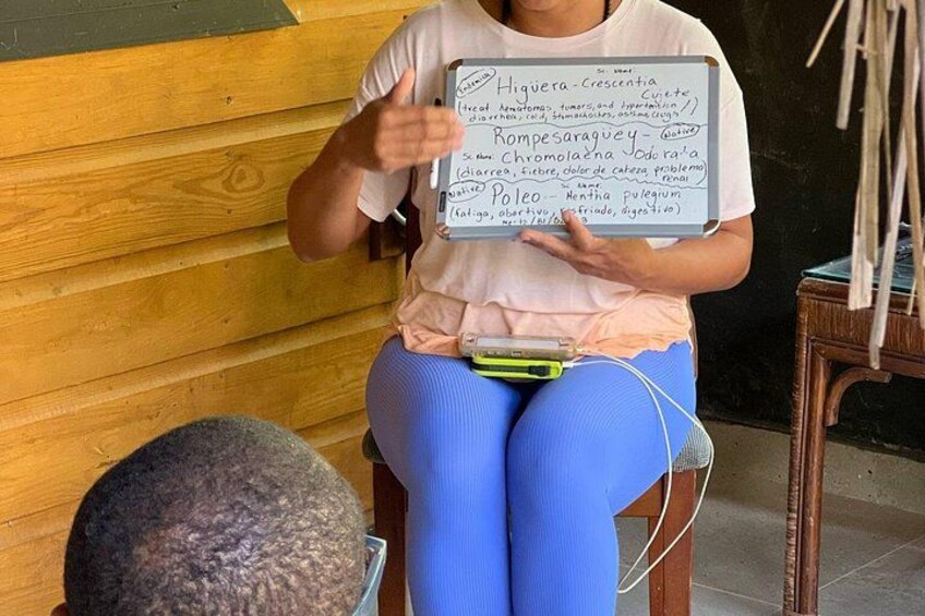 Learning about Medicinal Plants of Puerto Rico 3