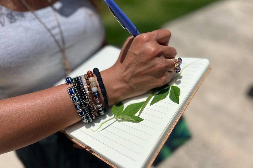 Learning about Medicinal Plants of Puerto Rico 5