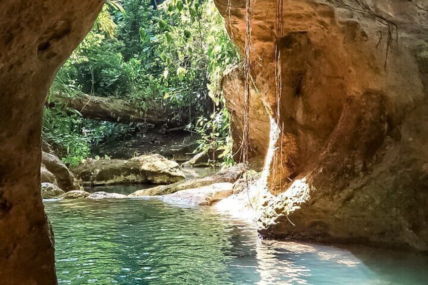 L'imbocco di una grotta con acqua cristallina e vegetazione circostante. 5