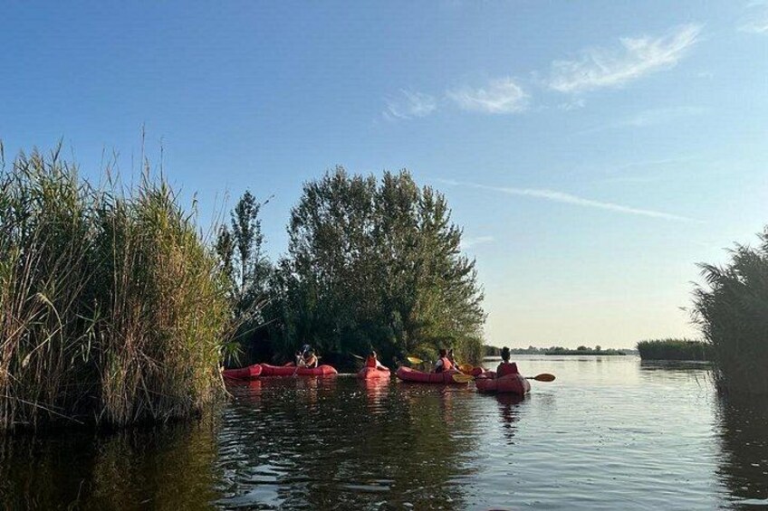 A group of people in red kayaks on a calm river surrounded by tall grasses and trees. 4