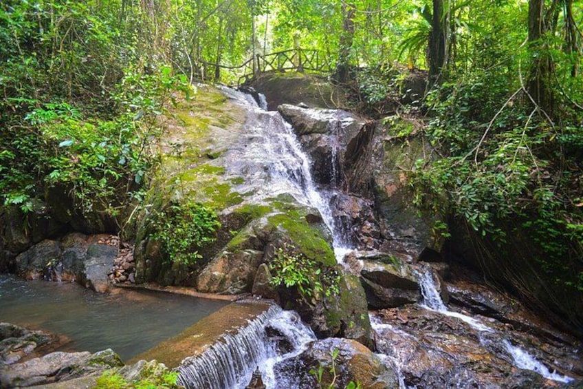 Una cascada en un área boscosa con rocas y follaje. 2