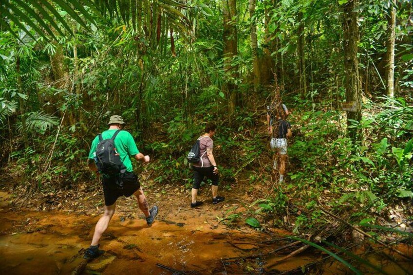 Hikers walking through a forested area with a muddy stream. 3