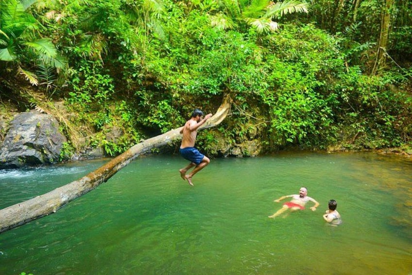 Un hombre salta de un tronco a un río rodeado de vegetación exuberante. 4