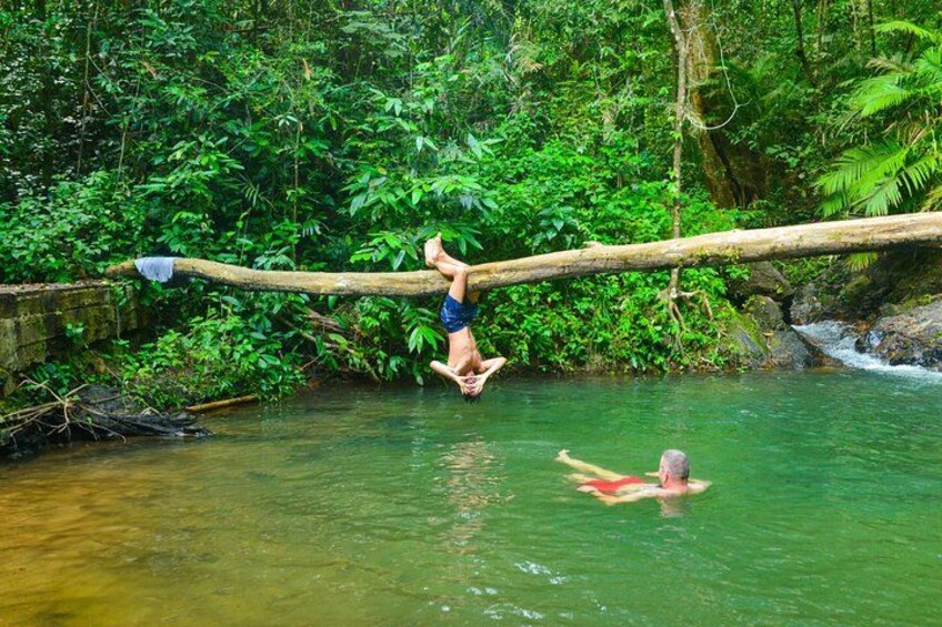 A person balancing on a log over a river, another person swimming below, surrounded by dense green foliage. 4