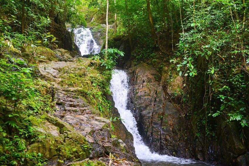 Una cascada se precipita sobre rocas cubiertas de musgo, rodeada de un bosque denso. 3