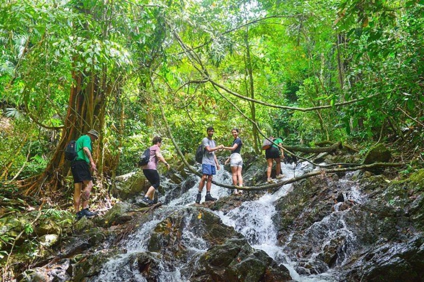 Un grupo de excursionistas cruzando una cascada pequeña en un área boscosa. 1
