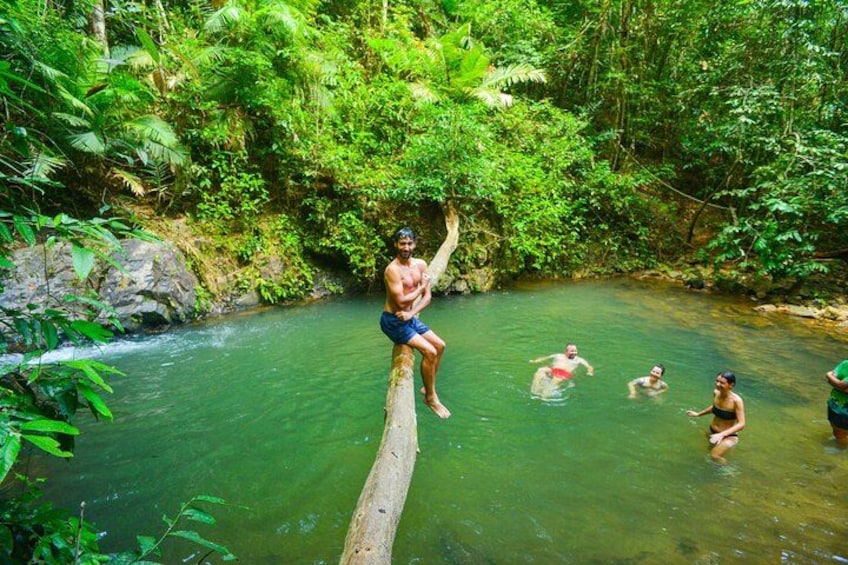 A person balancing on a log over a river surrounded by lush greenery. 2