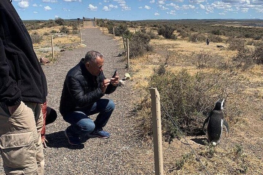 A Day with Penguins Punta Tombo Private Tour 2