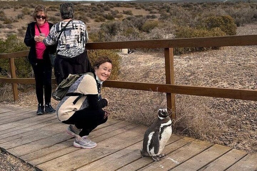 A Day with Penguins Punta Tombo Private Tour 5