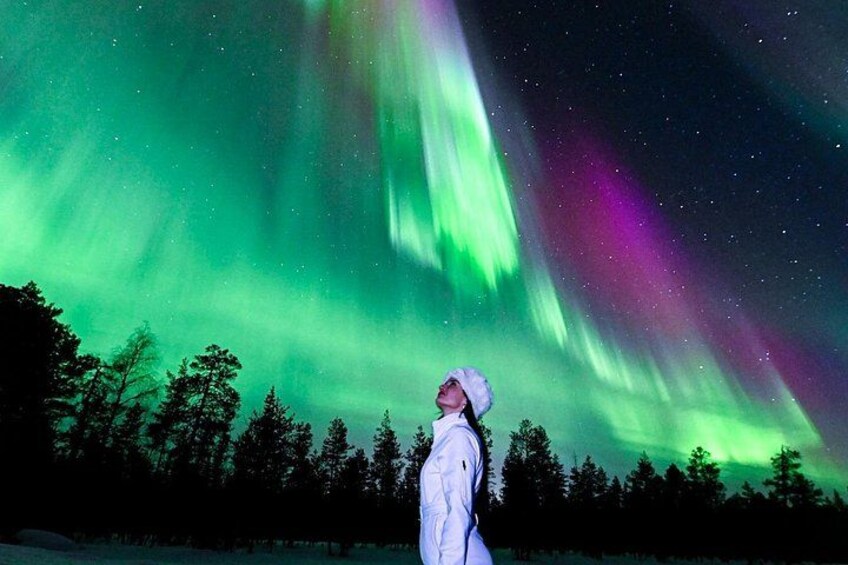 Rovaniemi: Northern Lights Guaranteed Group Tour - Free Photos 4