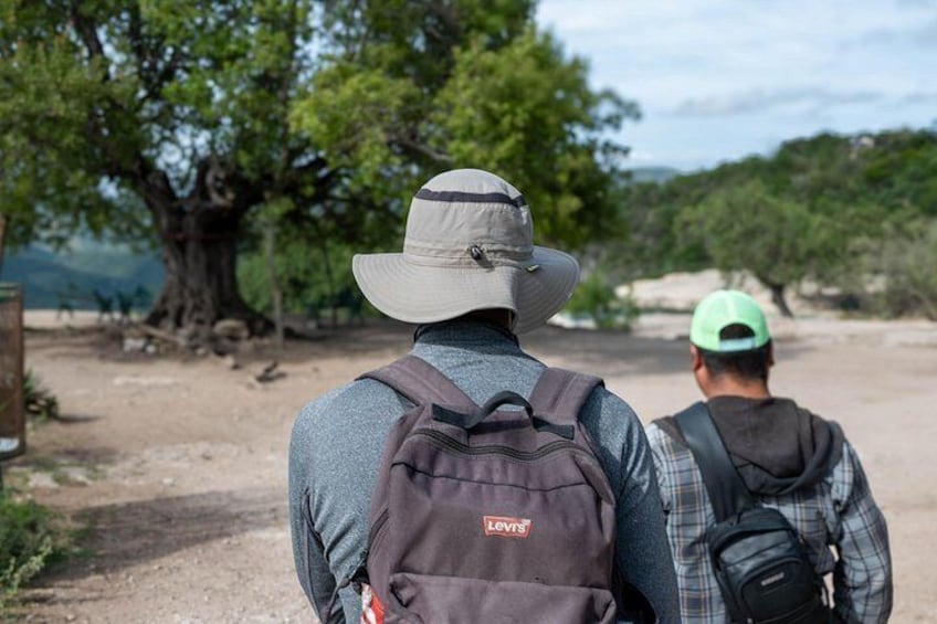 Two people walking on a dirt path with trees and a large tree in the background. 3