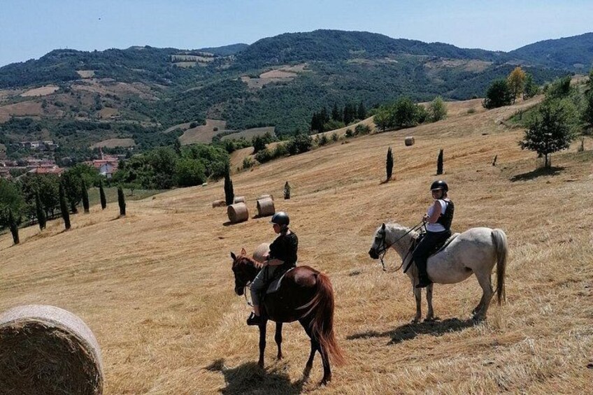 Horseback Ride through the Emilian Hills from Vergato 1