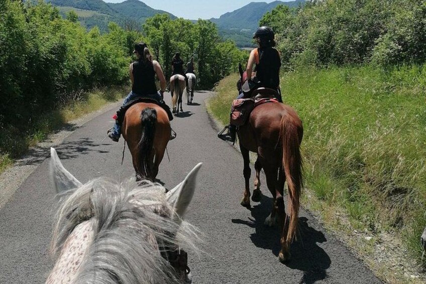 Horseback Ride through the Emilian Hills from Vergato 4
