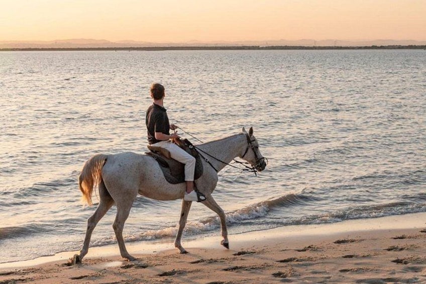 Eine Person reitet bei Sonnenuntergang am Strand auf einem Pferd. 1
