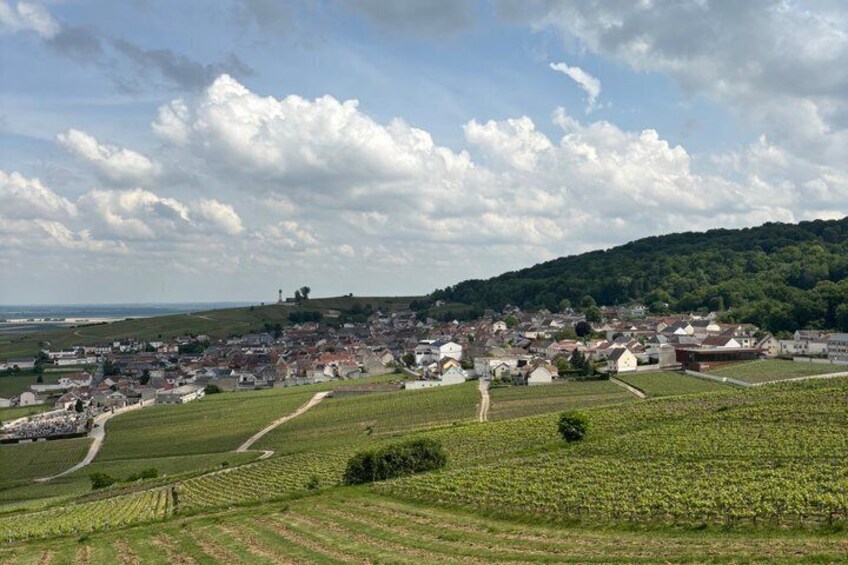 Une ville entourée de vignes, avec une colline en arrière-plan. 2
