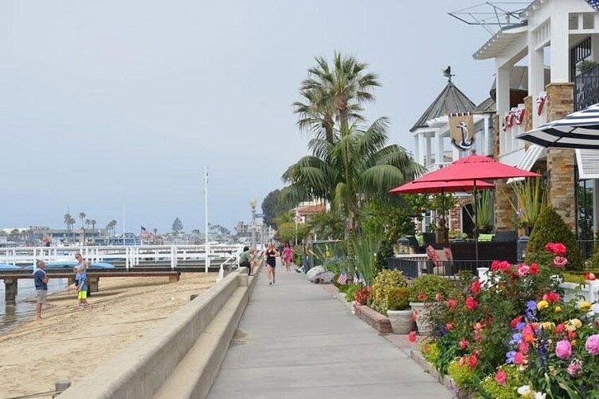 Orange County Beaches Full Day Private Tour 3