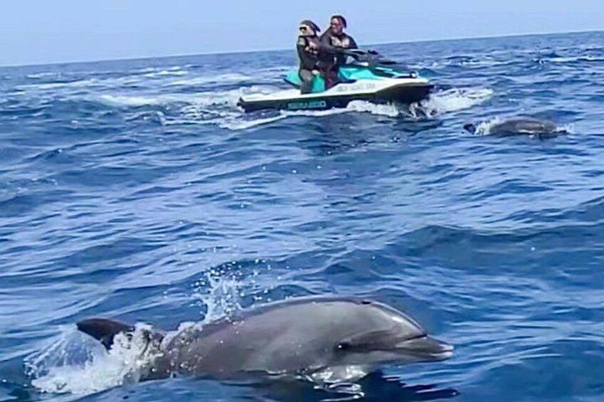 Guided Jet Ski Adventure in Two Harbors Catalina Island 2
