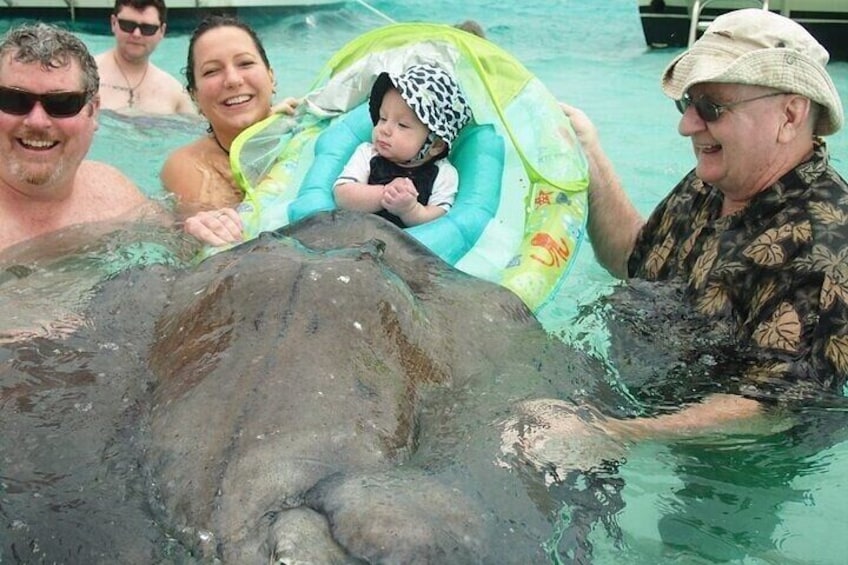 Eine Gruppe von Menschen in einem Pool mit einer großen Meeresschildkröte. 2